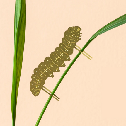 Plant Animal - Caterpillar, plant decoration