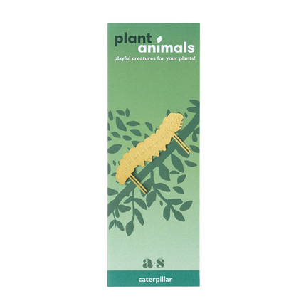 Plant Animal - Caterpillar, plant decoration